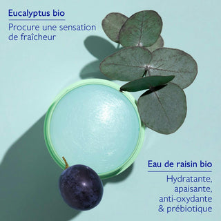CAUDALIE Vinofresh Déodorant Stick Naturel 50 ml