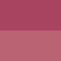 ABSOLUTE NEW YORK CHEEKY BLOOM BLUSH MUTED ORCHID 03
