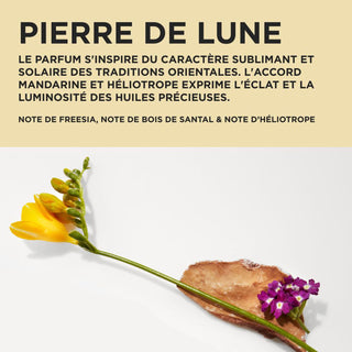 Kérastase Elixir Ultime – Coffret Cadeau Duo Nutrition & Éclat