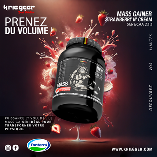 Kriegger MASS GAINER 3000 g