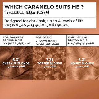 GARNIER COLOR NATURALS CARAMELO BLONDE HONEY BLONDE WITHOUR BLEACH 8.31