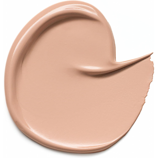 Essence -  CAMOUFLAGE+ MATTE concealer 100