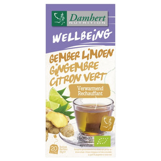 Damhert Tisane Gingembre Citron 20 sachetsdamhert