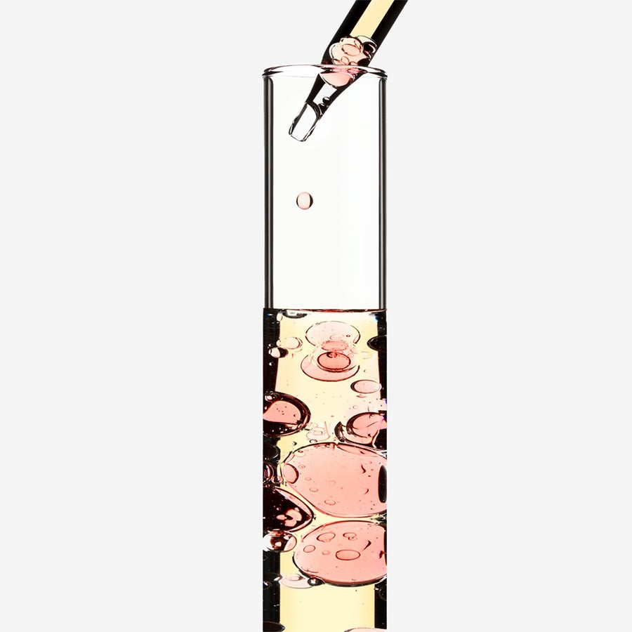 Rose sauvage à l’huile