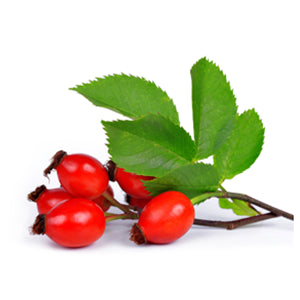 Huile de Rosa canina 