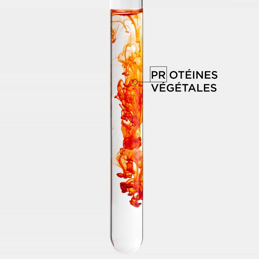PROTÉINES D'ORIGINE VÉGÉTALE 